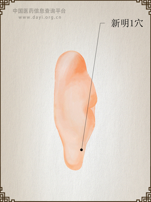 新明1穴