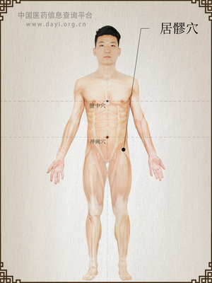居髎穴