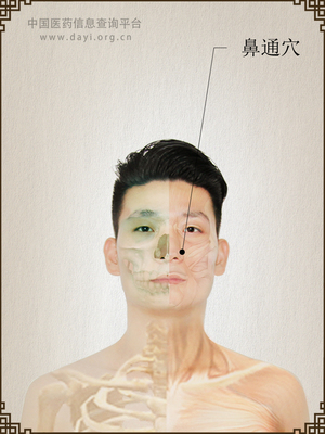 鼻通穴