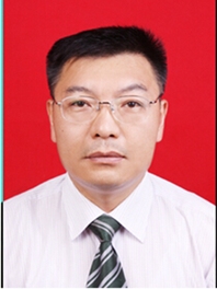 娄锋