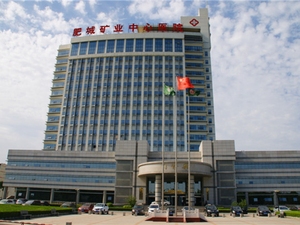山东颐养健康集团肥城医院