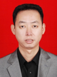 段力