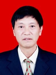 何应新