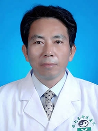 段从伟