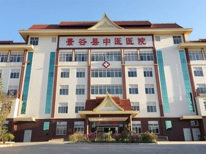 景谷傣族彝族自治县中医医院