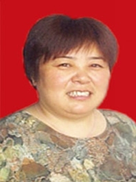 卜静