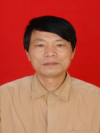 龙子华