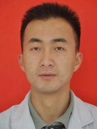 马智