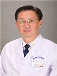 杨海涛