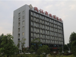 武汉市武东医院