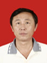 王维奇