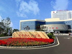 公安县人民医院