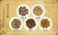 败毒生肌散