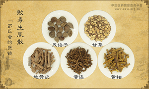 败毒生肌散