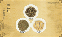 侧柏散
