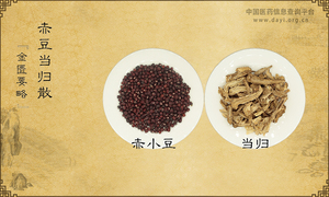 赤豆当归散