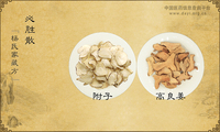 必胜散《杨氏家藏方》