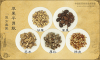 草果平胃散