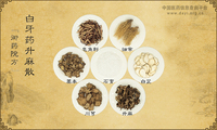 白牙药升麻散