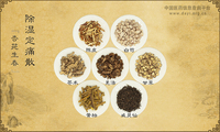 除湿定痛散