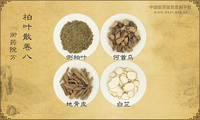 柏叶散《御药院方》卷八