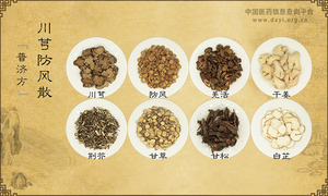 川芎防风散
