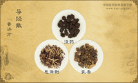 导经散