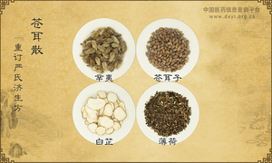 苍耳散《重订严氏济生方》