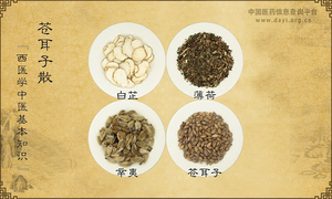 苍耳子散_苍耳子散_苍耳子散的效果作用_苍耳子散的组成| 中国医药信息查询平台