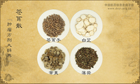 苍耳散《肿瘤方剂大辞典》