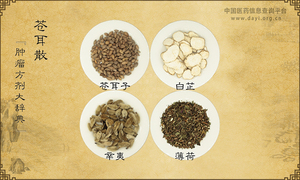 苍耳散《肿瘤方剂大辞典》