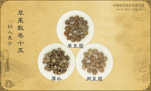 草果散《妇人良方》卷十五