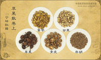 草果散《宁坤秘籍》卷上