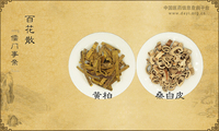 百花散《儒门事亲》