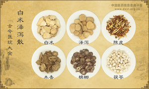 白术泽泻散