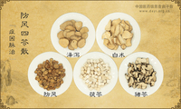 防风四苓散