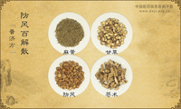 防风百解散