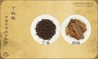 丁桂散《中国中医秘方大全》