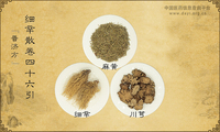 细辛散《普济方》卷四十六引《海上方》
