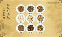防风败毒散