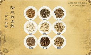 防风败毒散