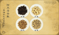 防风导赤散