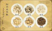 附子五苓散