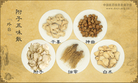附子五味散