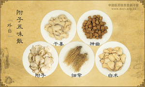 附子五味散