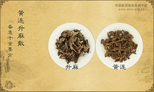 黄连升麻散