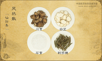 风热散