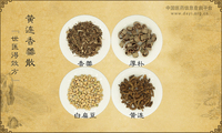 黄连香薷散