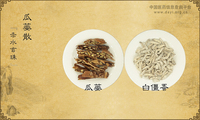 瓜蒌散