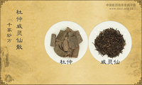 杜仲威灵仙散